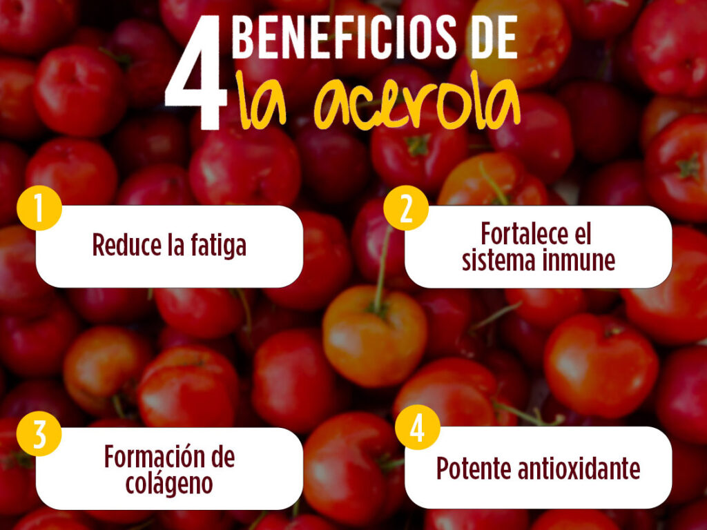 Beneficios de la Acerola