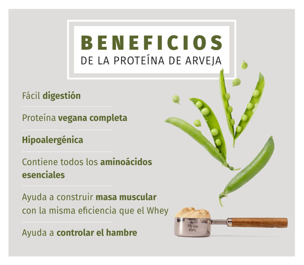 El Poder Nutritivo de las Arvejas