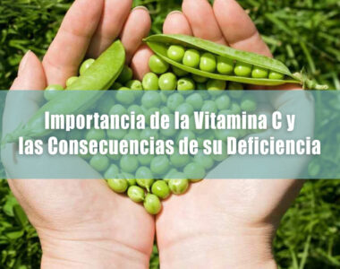 El Poder Nutritivo de las Arvejas