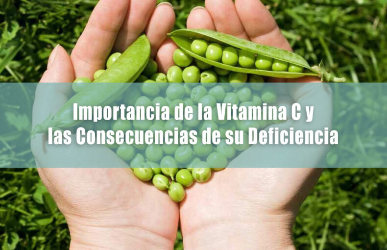 El Poder Nutritivo de las Arvejas