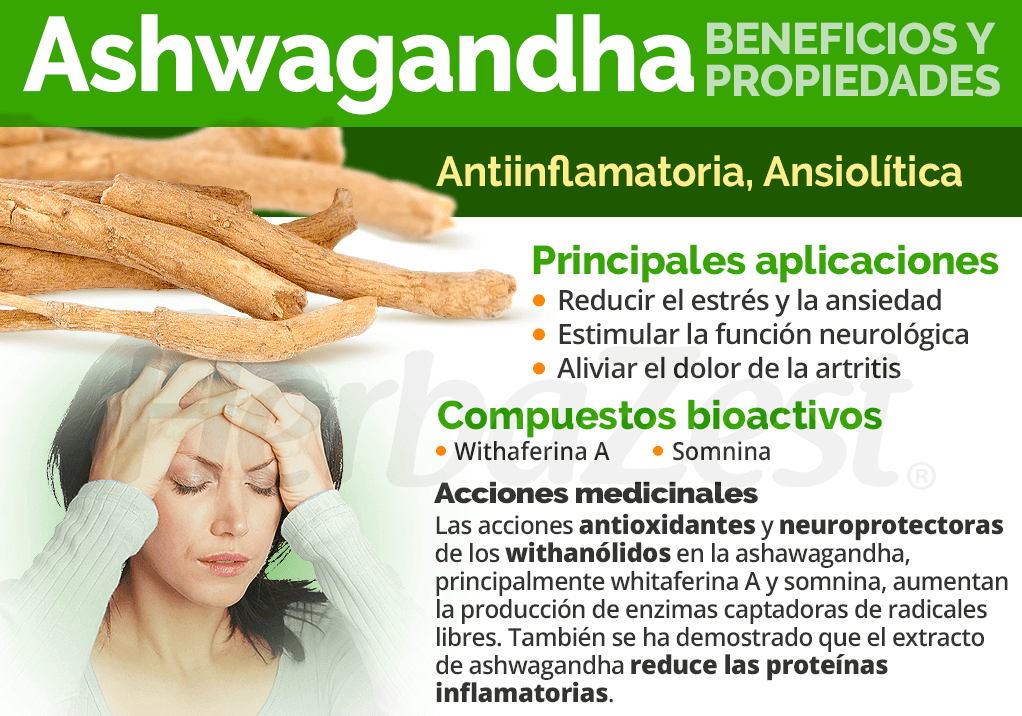 Ashwagandha de Drasanvi