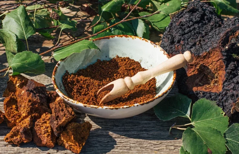 Chaga Mushroom 1000mg 150 cápsulas de Nutricost