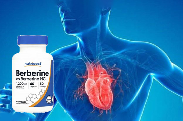 Berberine 1200 mg