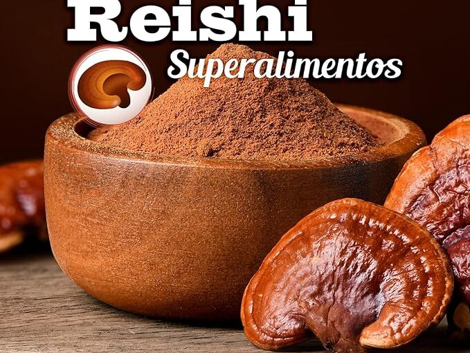 Reishi Bio 100 g Doypack Drasanvi