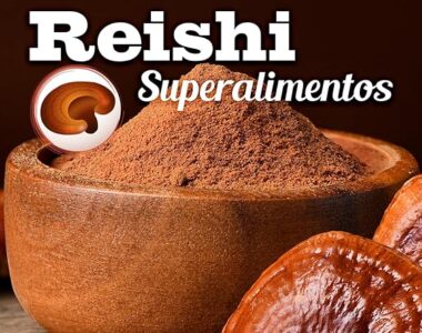 Reishi Bio 100 g Doypack Drasanvi
