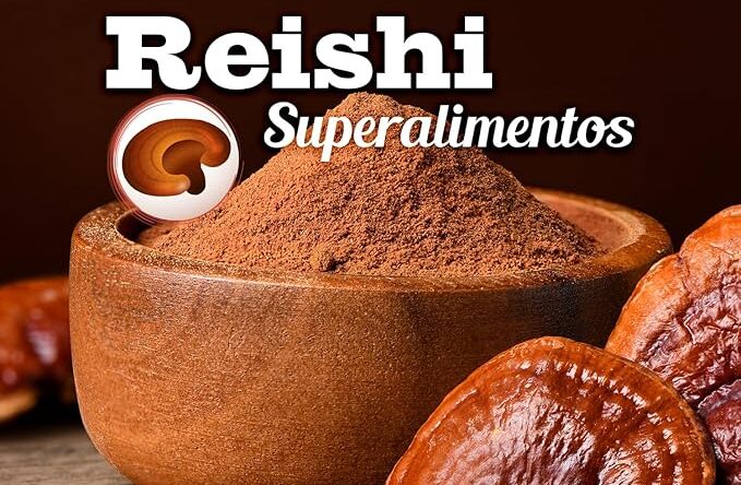 Reishi Bio 100 g Doypack Drasanvi